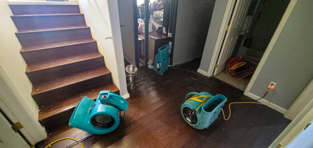Best Mold removal after water damage  in Baldwin, NY