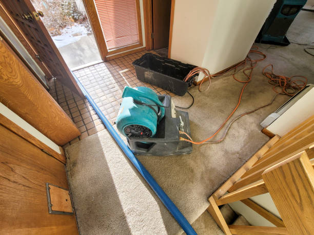 Best Flood restoration services  in Baldwin, NY