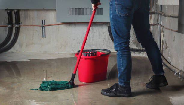 Best Water damage restoration specialists  in Baldwin, NY