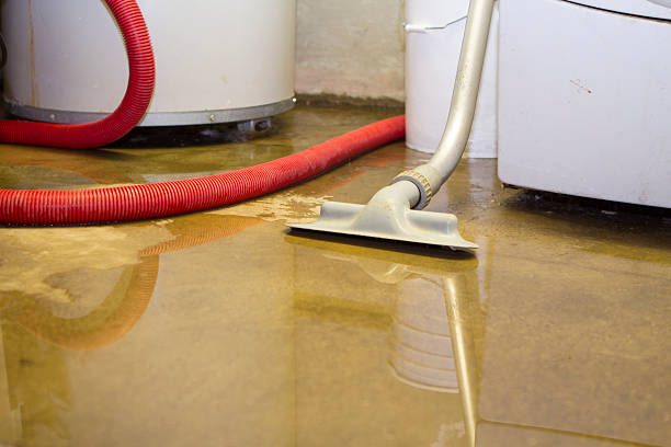 Best Basement water damage restoration  in Baldwin, NY