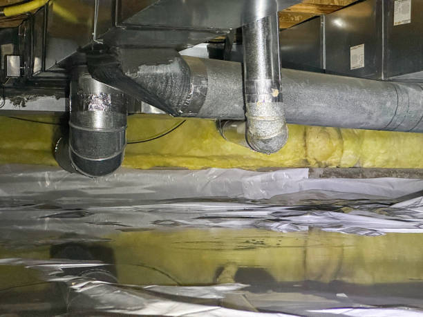 Best Professional water damage repair  in Baldwin, NY
